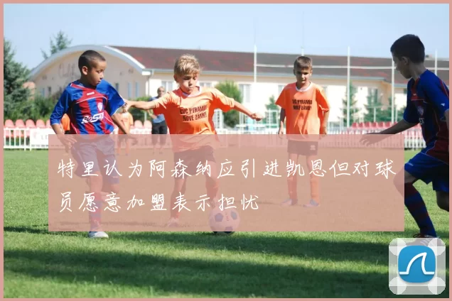 特里认为阿森纳应引进凯恩但对球员愿意加盟表示担忧