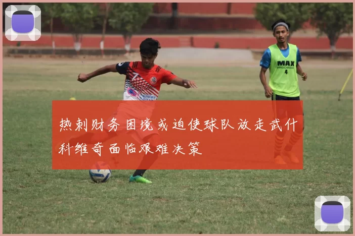 热刺财务困境或迫使球队放走武什科维奇面临艰难决策